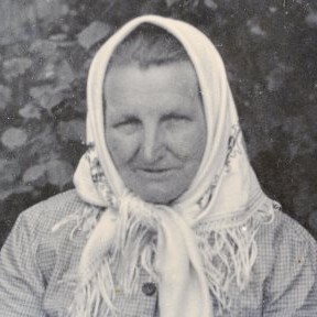 vyvody